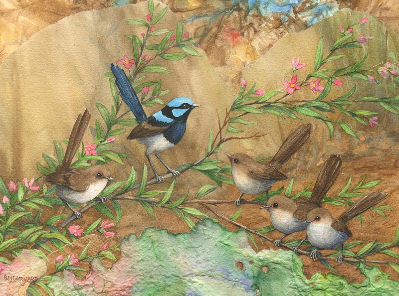 Blue Wrens with Family — Rhonda's Art